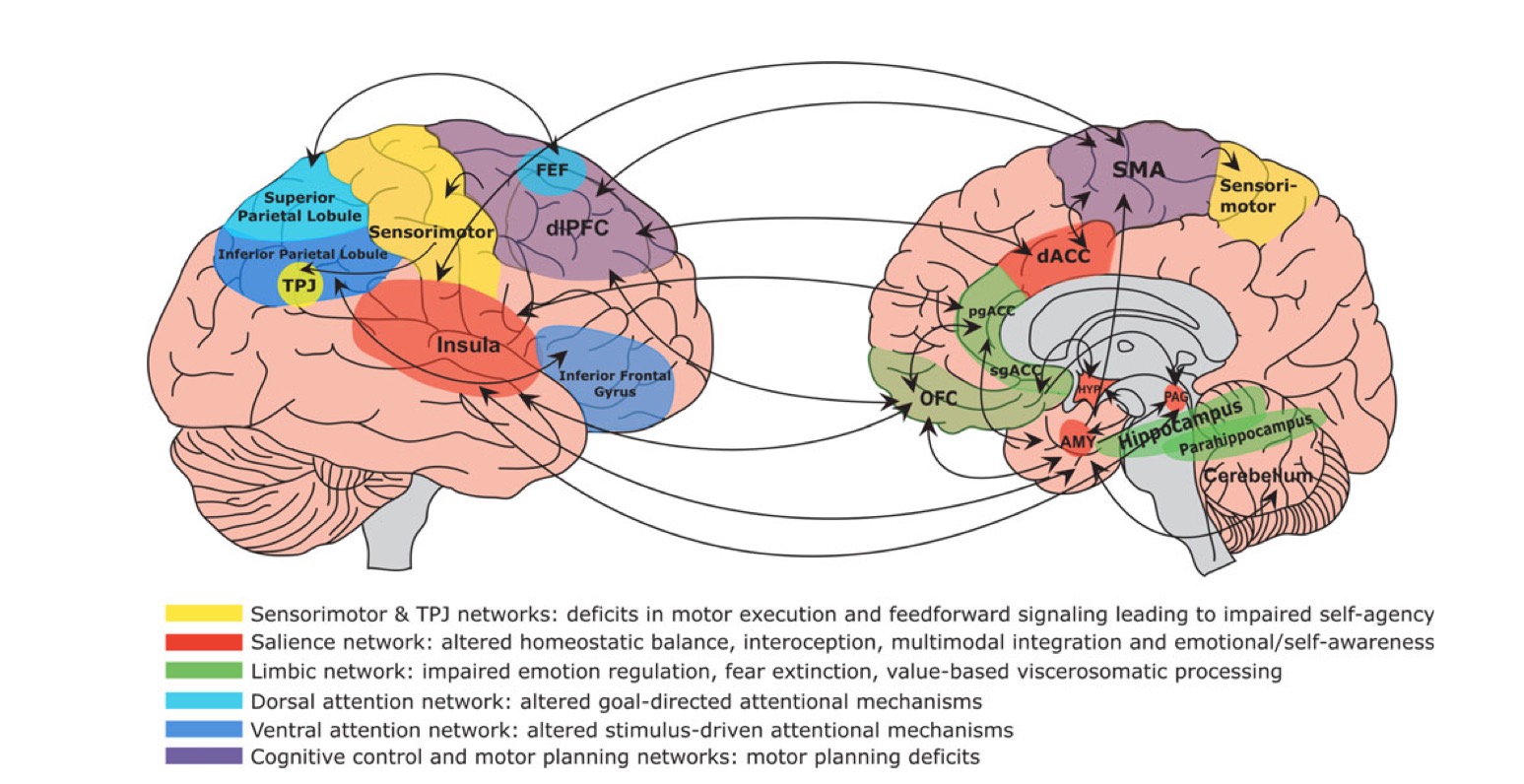 Functional Neurological Disorders